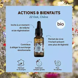 Biofloral Fleur De Bach 22 Oak Chene Compte Gouttes Bio Demeter 20 ml