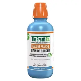 The Breath Co Bain de bouche Menthe Givrée 500ml