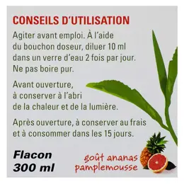 Nutrigée Boisson Minceur Rétention d'Eau 300ml