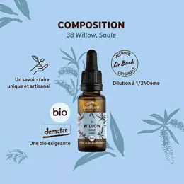 Biofloral Fleur De Bach 38 Willow Saule Compte Gouttes Bio Demeter 20 ml