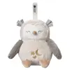 Tommee Tippee Peluche aide au sommeil rechargeable - Ollie la chouette