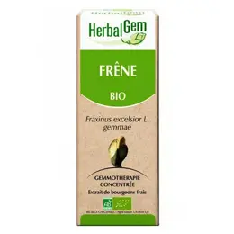 Herbalgem Macérat Concentré Frêne Bio 30ml