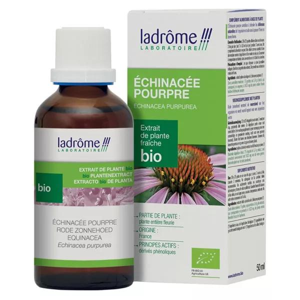 Ladrome Echinacea 50ml