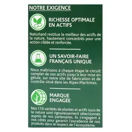 Naturland Levure de Riz Rouge Bio 60 gélules