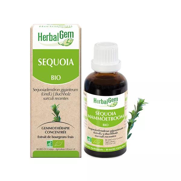Herbalgem Macérat Concentré Séquoia Bio 30ml