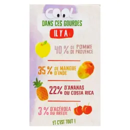 Vitabio Cool Fruits Pomme Mangue Ananas Acérola Bio 4 x 90g