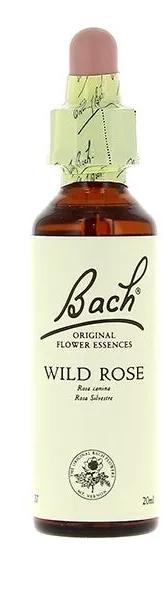 Flores de Bach 37 Wild Rose 20 ml