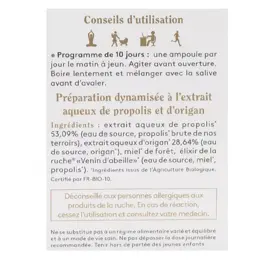 Ballot-Flurin Santé Préparation Dynamisée Propolis Blanche Origan Bio 10 ampoules