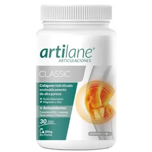 Artilane Classique Poudre 300 Grammes