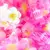 Merci Handy Mains Gel Nettoyant Flower Power 30ml