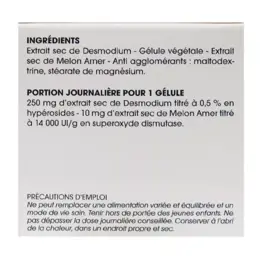 Phytalessence Detox Desmodium 30 gélules