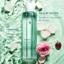 Caudalie Moisturizing Tonic Lotion Reisegröße 100ml