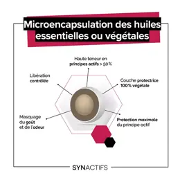 Aragan - Synactifs - Circactifs® - Circulation - Vigne Rouge - 30 gélules