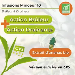 Nutrigée Infusion Minceur 10 Plantes 30 sachets