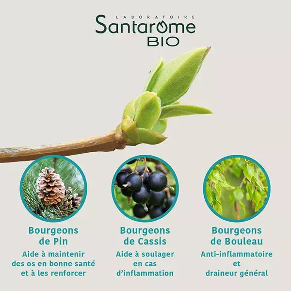 Santarome Bio - Tri Complexe de Bourgeons Confort Articulaire Bio - Flacon de 30ml