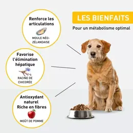 VetoNUT Chien Spécial Sénior 2,5kg