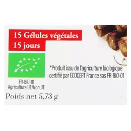 Dayang Phytothérapie Bardane Bio 15 gélules végétales