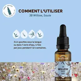 Biofloral Fleur De Bach 38 Willow Saule Compte Gouttes Bio Demeter 20 ml