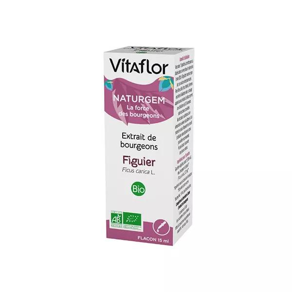 Germogli di Vitaflor Estratto di fico Bio 15ml