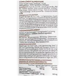 Arkopharma Arkoroyal Gummies Bio sachets de 60