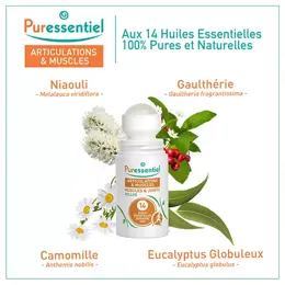 Puressentiel Articulations et Muscles Roller aux 14 Huiles Essentielles 75ml