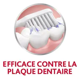 Parodontax Brosse à Dents Nettoyage Souple