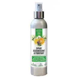 Dayang Spray Assainissant & Purifiant 200ml