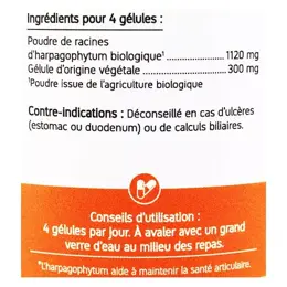 Nat & Form Écoresponsable Harpagophytum Bio 200 gélules