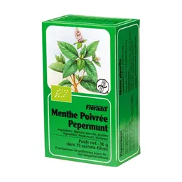 Salus Tisane Menthe Poivrée 15 sachets