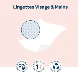 Biolane Bain & Toilette Lingette Visage et Mains 64 unités