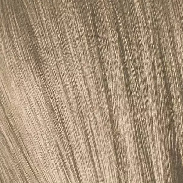 Schwarzkopf Professional Essensity Hair Dye N°10-14 60ml