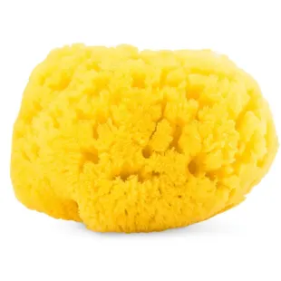 Chicco Marine Bath Sponge +0m