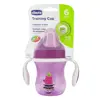 Chicco Repas Tasse Training à Bec Rigide +6m Cochon Violet 200ml