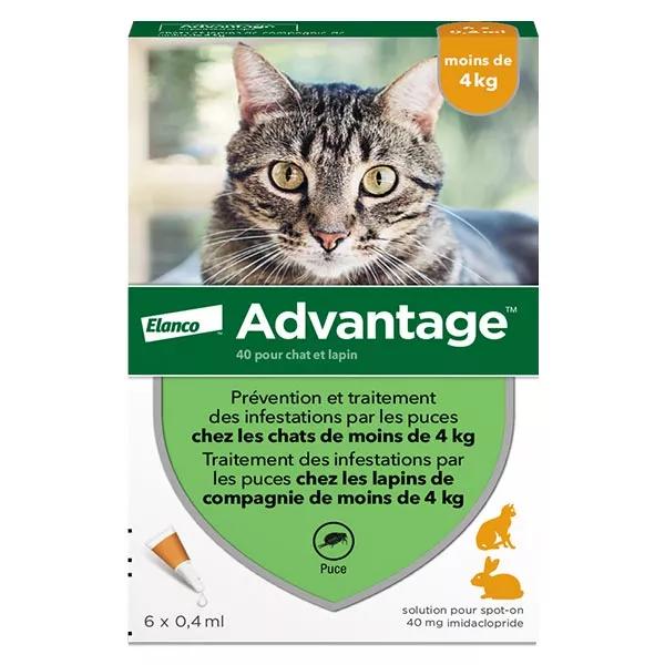 Advantage Solution Antipuce Chat Lapin 1 à 4kg 6 pipettes