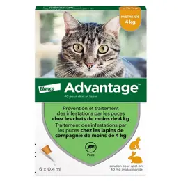 Advantage Solution Antipuce Chat Lapin 1 à 4kg 6 pipettes
