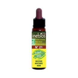 Inebios Fleur de Bach n°21 Mustard - Moutarde Bio 10ml