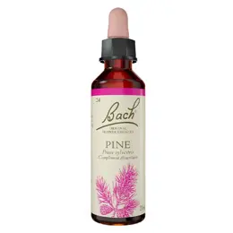 Fleurs de Bach® Original - Pine 20ml