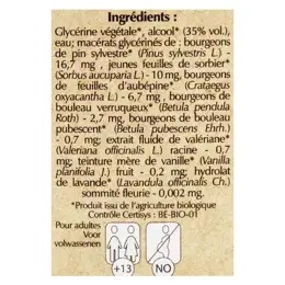 Herbalgem Complexe de Gemmothérapie Energem Energié Mentale Physique Bio 30ml