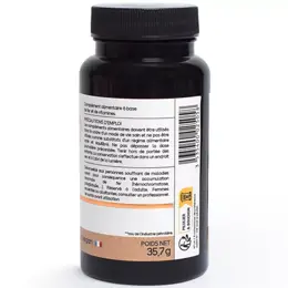 Nat & Form  Fer Liposomal 60 gélules végétales