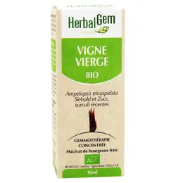 Herbalgem Macérat Concentré Vigne Vierge Bio 30ml