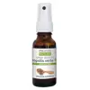 Propos' Nature Apithérapie Spray Buccal Propolis Verte du Parana Bio 15ml