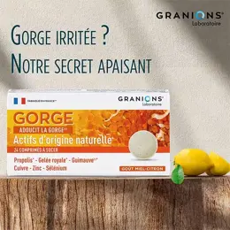 Granions Gorge Adoucit la Gorge Goût Miel Citron 24 comprimés à sucer