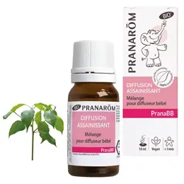 Pranarom PranaBb Mélange Pour Diffusion Assainissant Bio 10ml