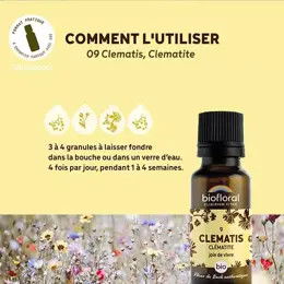 Biofloral 09 Clematis Clematite Granules Bio Fleur De Bach Granules 19,5 Gr