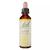 Fleurs de Bach 13 Ginestrone 20 ml