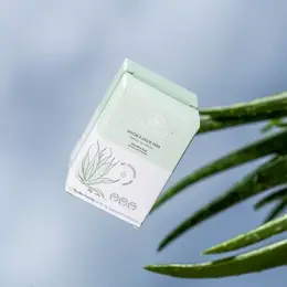 Aloesol Savon Solide à l'Aloe Vera Bio 80g