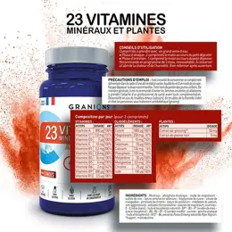 Granions 23 Vitamines Énergie Vitalité 90 comprimés