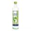 Oemine Savia de Abedul Nórdico Bio 500ml