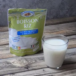 La Mandorle Boisson Végétale Riz en Poudre Bio 240g