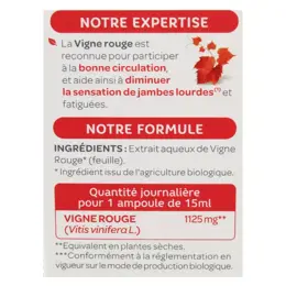 Superdiet Vigne Rouge Bio 20 ampoules